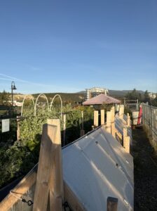 IMG_4054